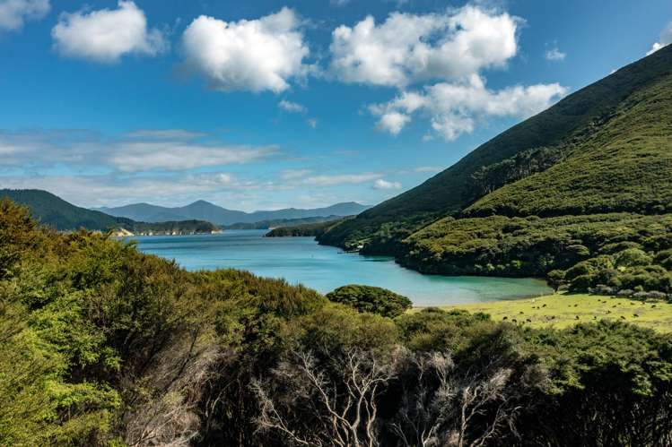 Lot 4 + 5 Te Aroha Bay, Otanerau Bay Marlborough Sounds_23