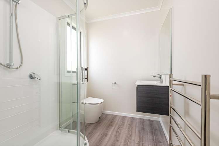 38 Hammond Street Bulls_13