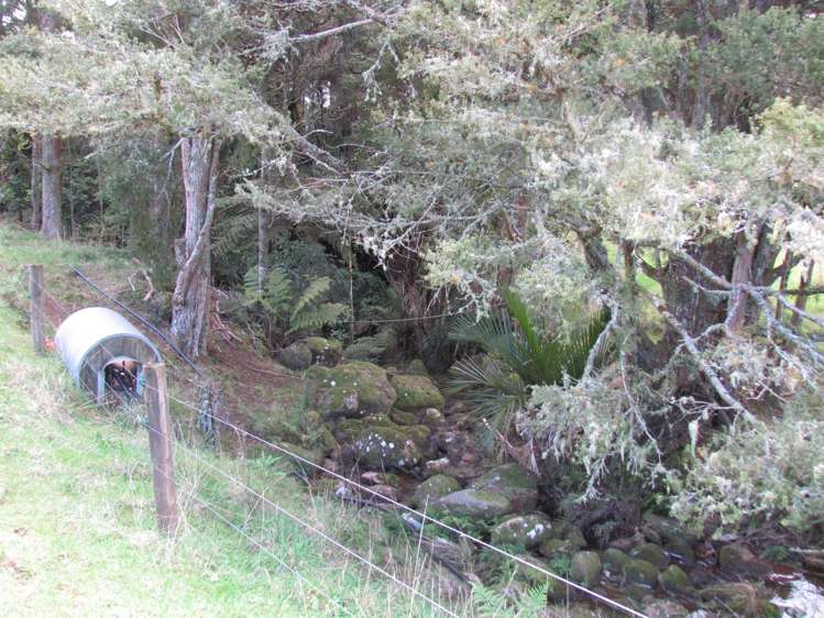 Tremain Road Ruatangata West_22