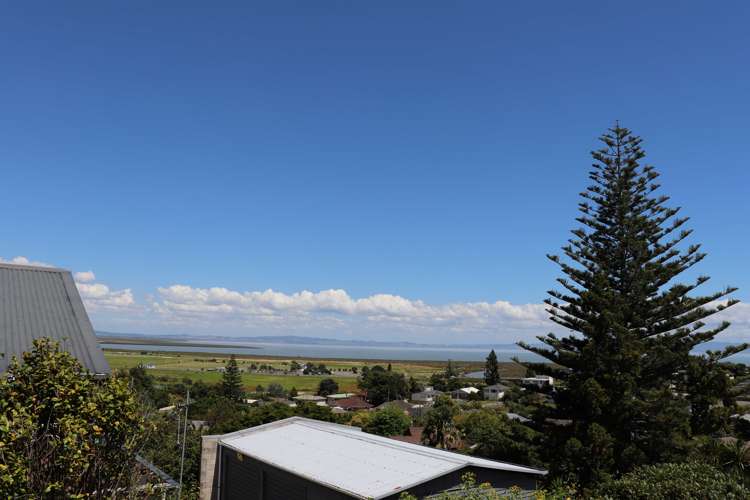 127a Grafton Road Thames_22