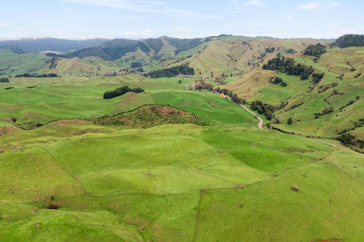 124 Haku Road Piopio_16