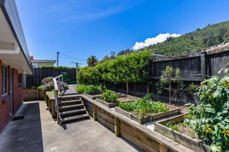 4a Surrey Street Picton_36