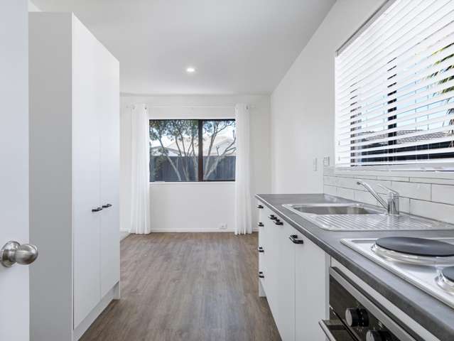 487B Pages Road Aranui_2