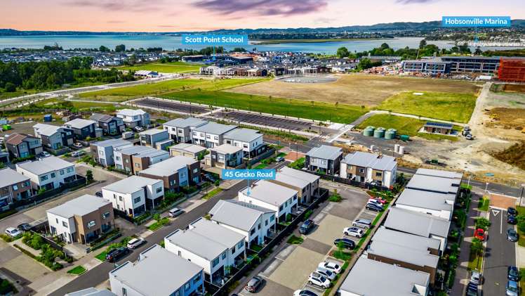 45 Gecko Road Hobsonville_20