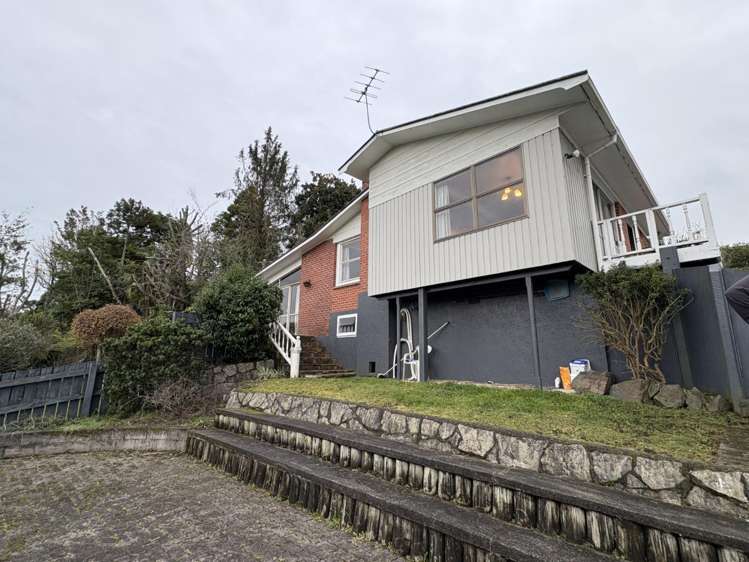 23 Rata Street 11464_14