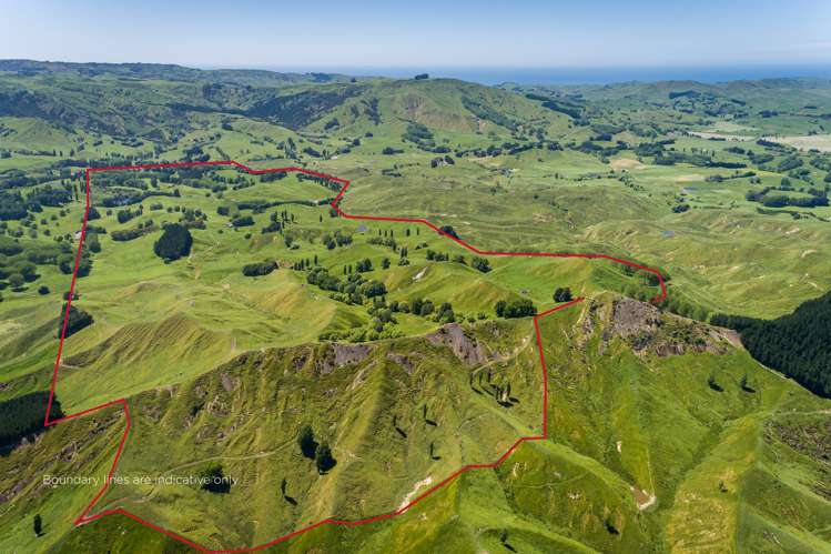 2412 Kahuranaki Road Elsthorpe_19