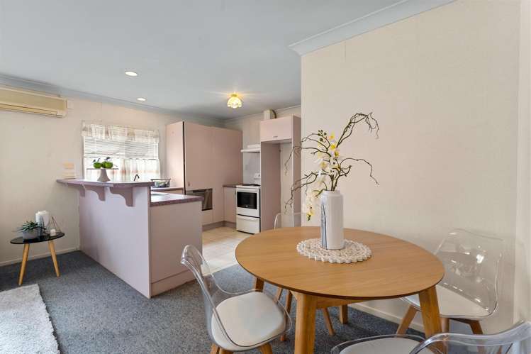 2a Albert Street Pukekohe_3