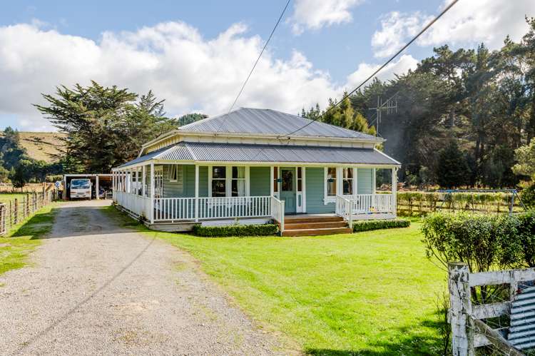 37 Newman Road_0