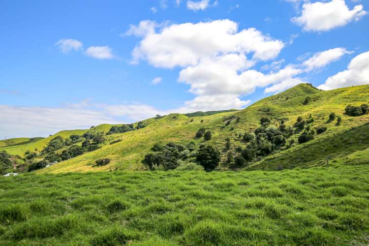 61 Waikawau Valley Road Kereta_4