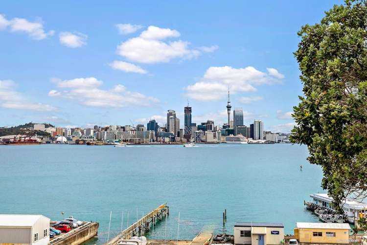 144 Calliope Road Stanley Point_8