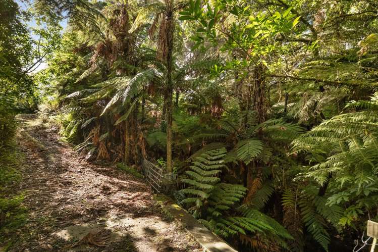 542 Waitekauri Road, Waikino Waihi_25