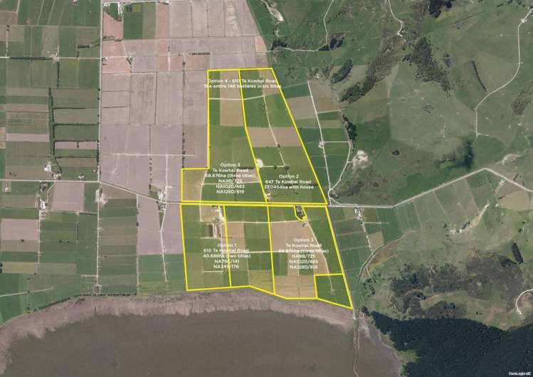 647 Te Kowhai Road Ruawai_12