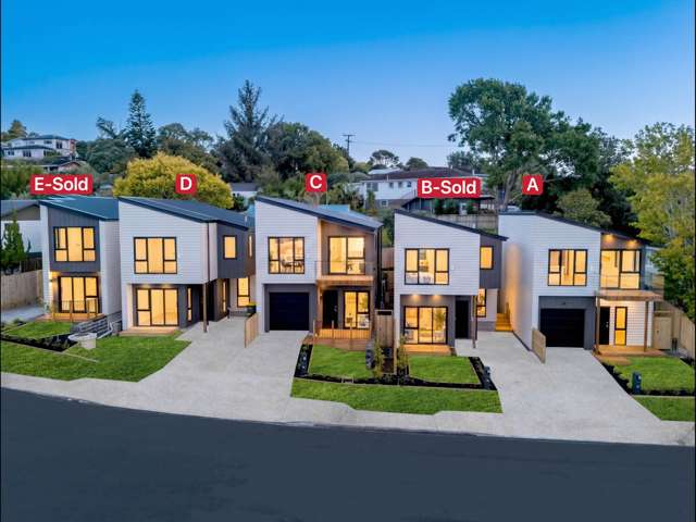 3 Terra Nova Street Glen Eden_2