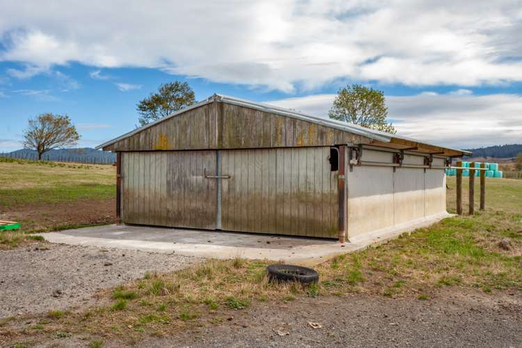 3175 Tahuna-Ohinewai Road Tahuna_10