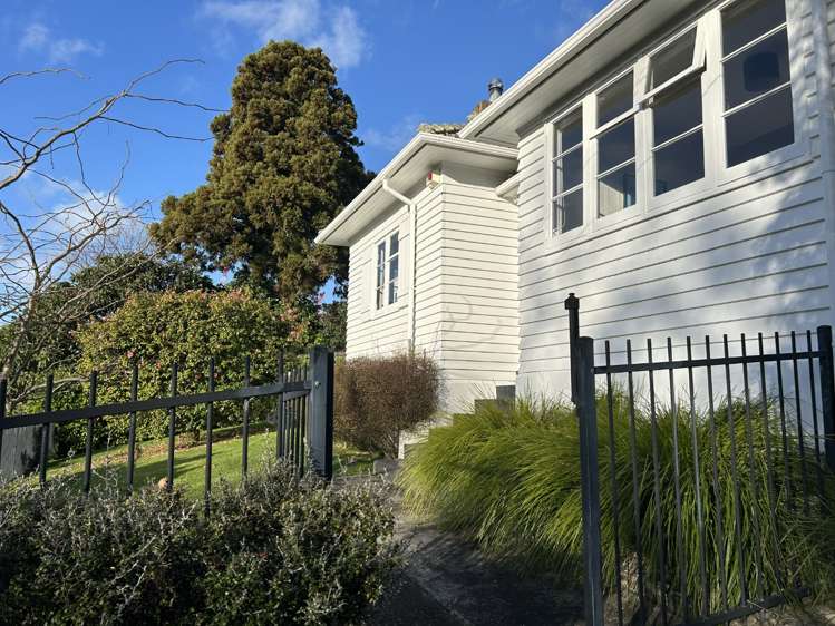 19 Tawariki Street Ponsonby_22