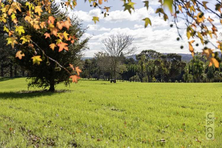 408 Taupaki Road Kumeu_17