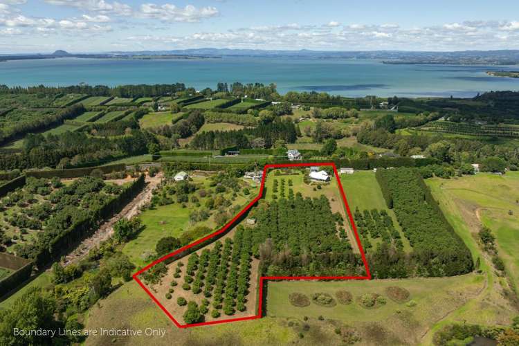 63 Ongare Point Road Katikati_36