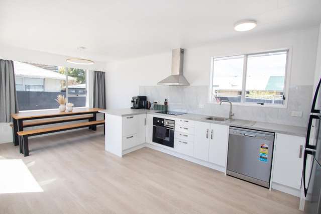 59 Thomson Street Tinwald_1