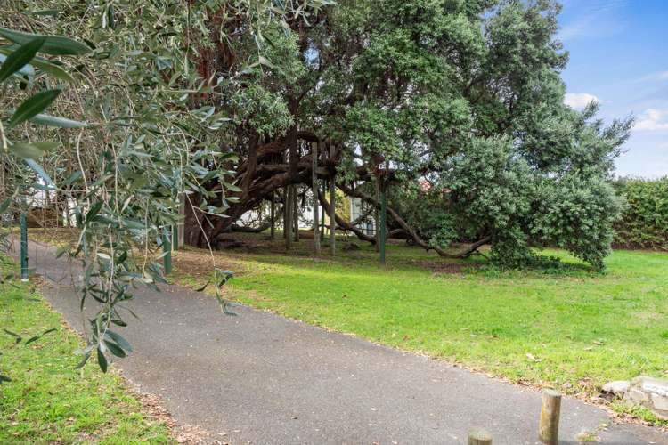 308/277 Maunganui Road Mount Maunganui_17