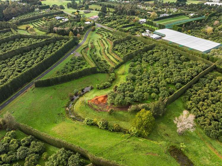 222 Wharawhara Road Katikati_6