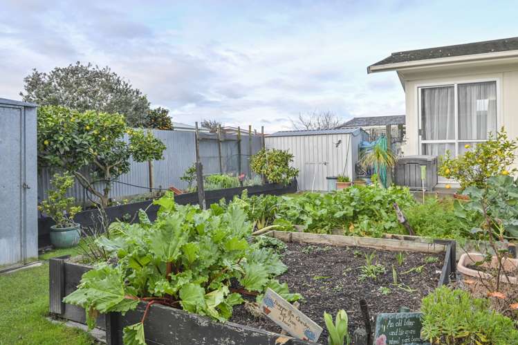 168 Flaxmere Avenue Flaxmere_17