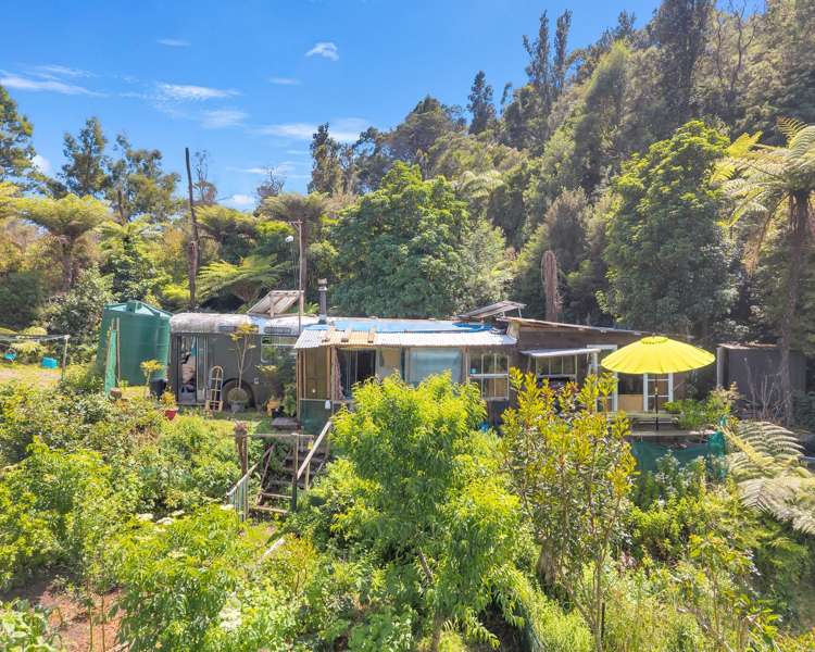 Ohiwa Loop Road Waiotahi_19