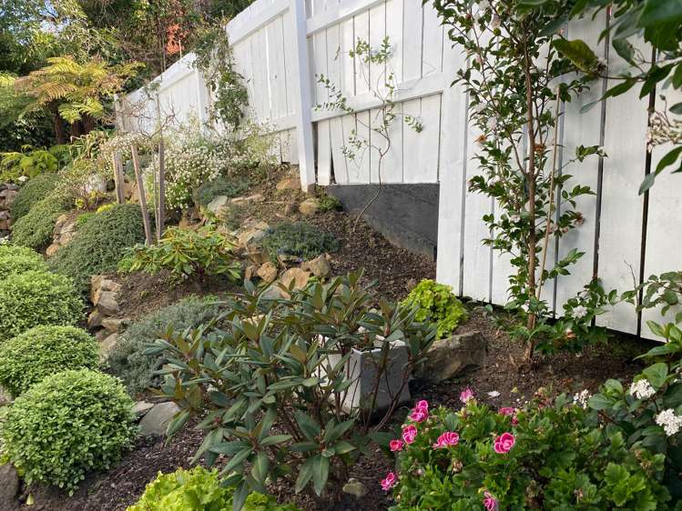 18d Lawson Street Roslyn_17