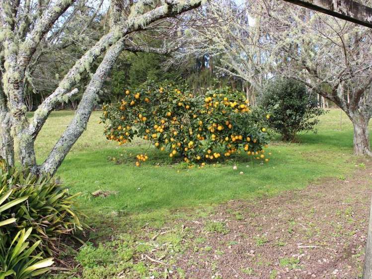 129a Ness Road Kerikeri Surrounds_11