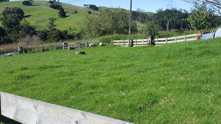 492 Wairere Road Paparoa_16