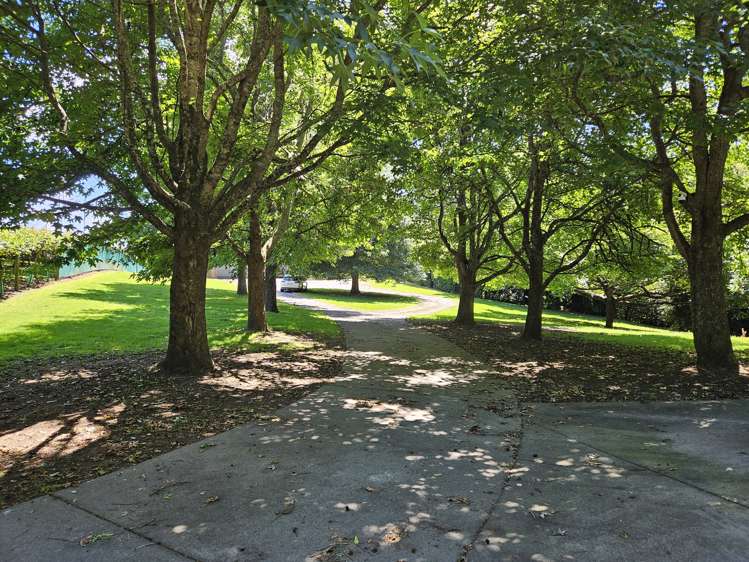 96D Jensen Road Omanawa_9