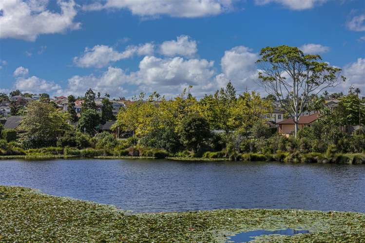 4 Clapton Place Henderson_4