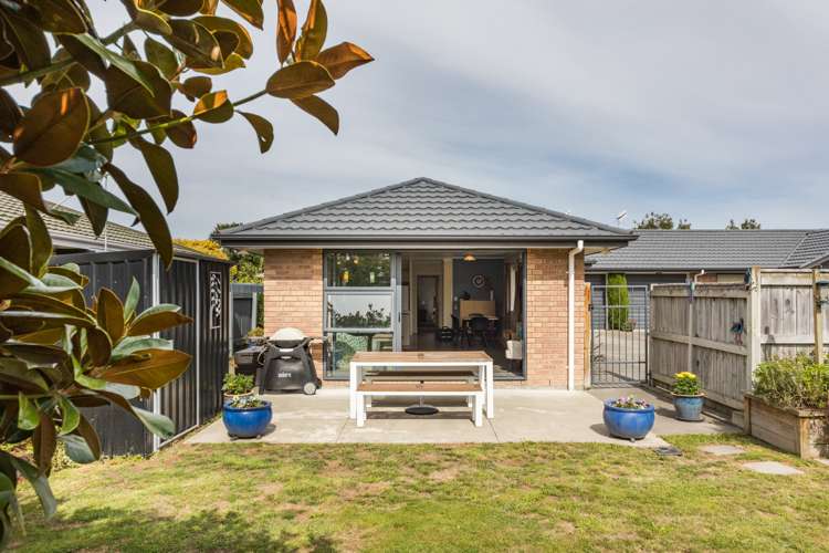 14c Rata Street Roslyn_19