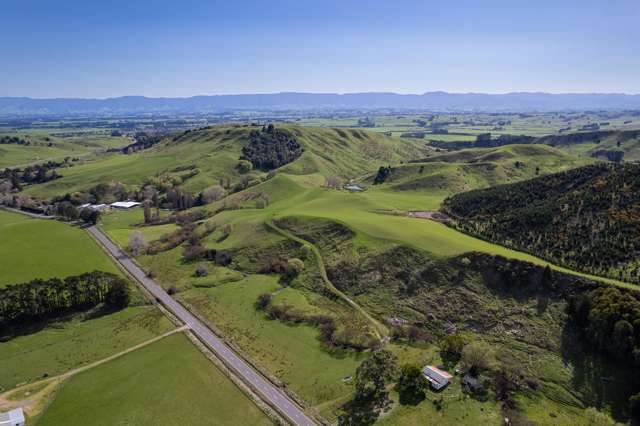 597 Weber Road Dannevirke_3