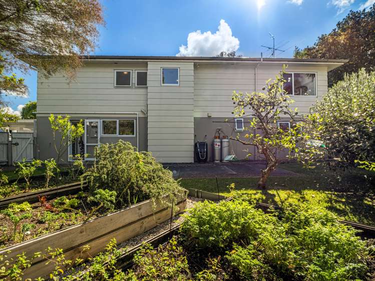 8 Capricorn Place Browns Bay_20