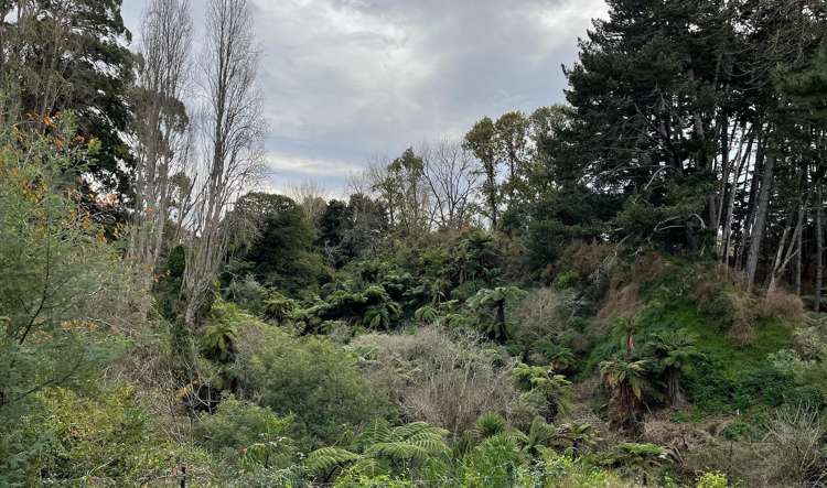 12 Manor Place Bader_16