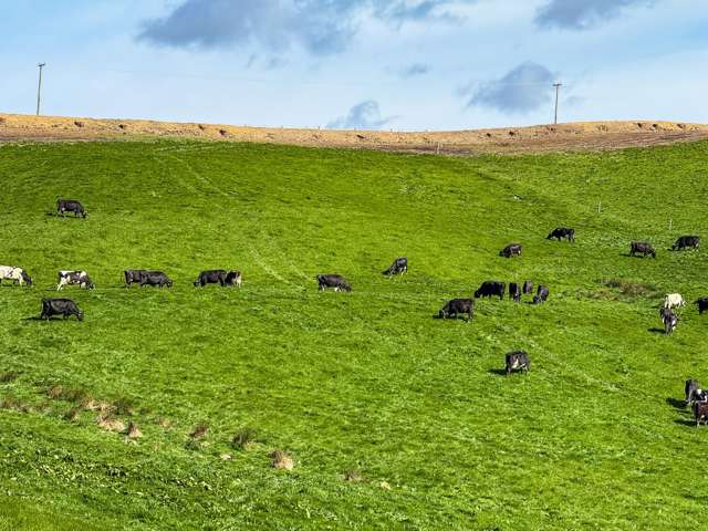 316 McDonald Road Pukerau_4