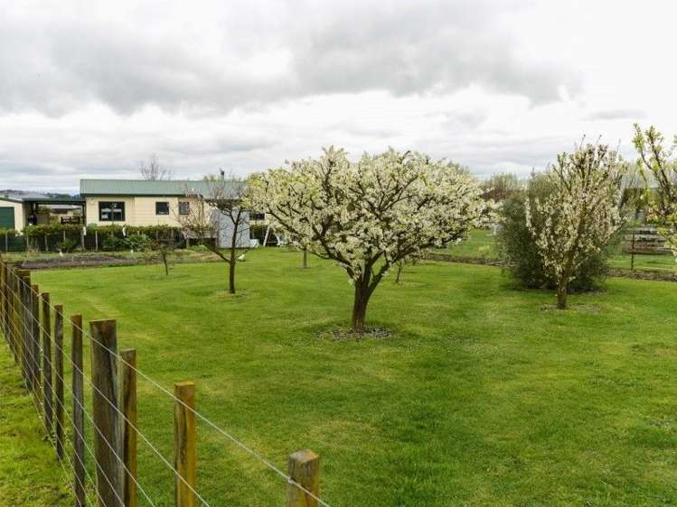 2 Viax Lane Waipukurau and Surrounds_11