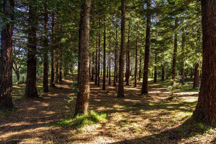 89c Merrick Road Pyes Pa_17