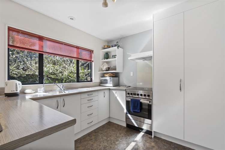 51 Splitt Avenue Glenview_7