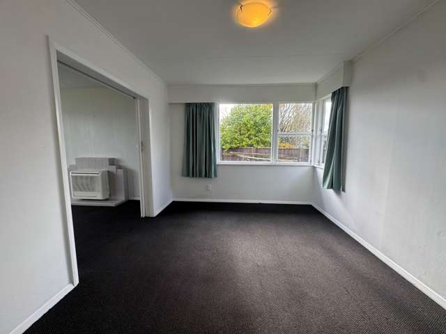  347 Ruahine Street Terrace End_2