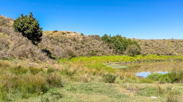 650 Falls Road Maramarua_3