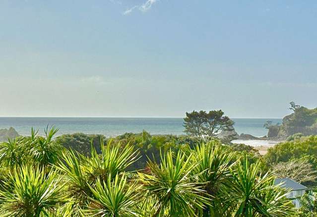 Beachside Bliss Meets Treehouse Tranquility