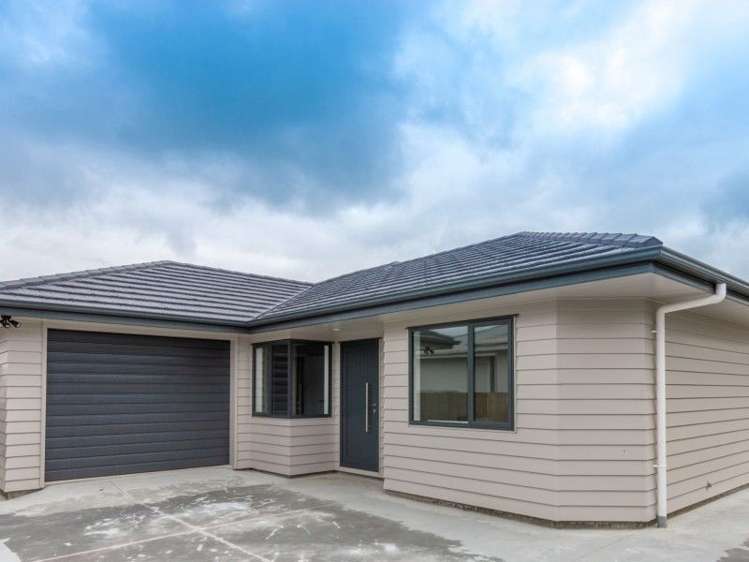 5a Milton Street Roslyn_11