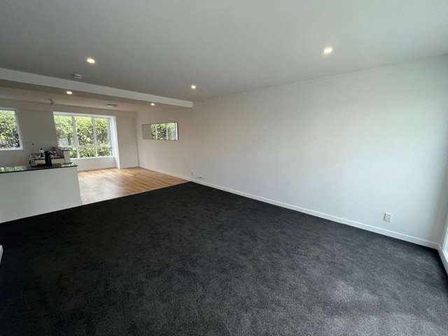 1c Findlay Street Ellerslie_2