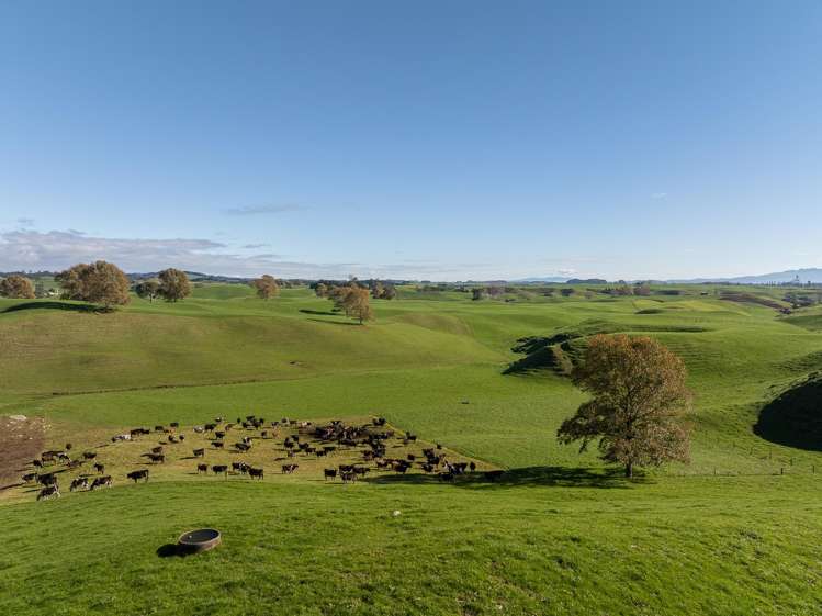 2005 Old Taupo Road Putaruru_16