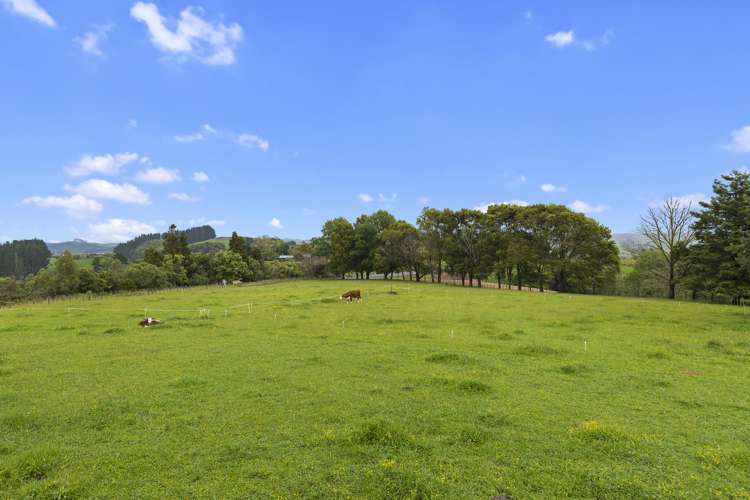 7 Lockerbie Lane Whatawhata_27