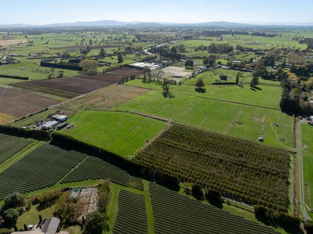 503B Gordonton Road Gordonton_4