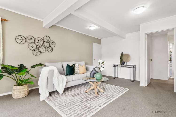 39a Central Park Drive Te Atatu South_1