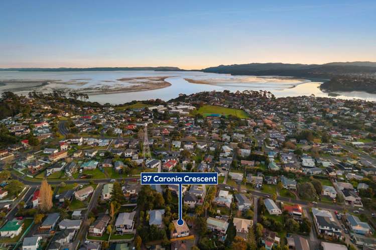 37 Caronia Crescent Lynfield_26
