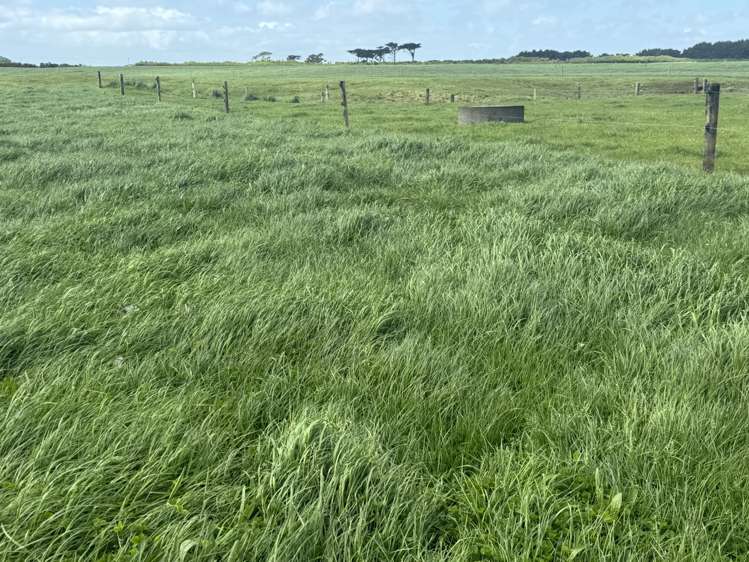 4782 South Road Opunake_8